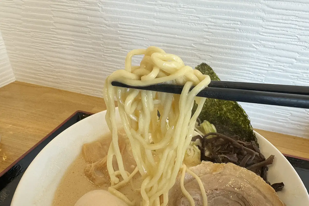 麺屋 和BISABI　豚鶏ラーメン（醤油）　麺