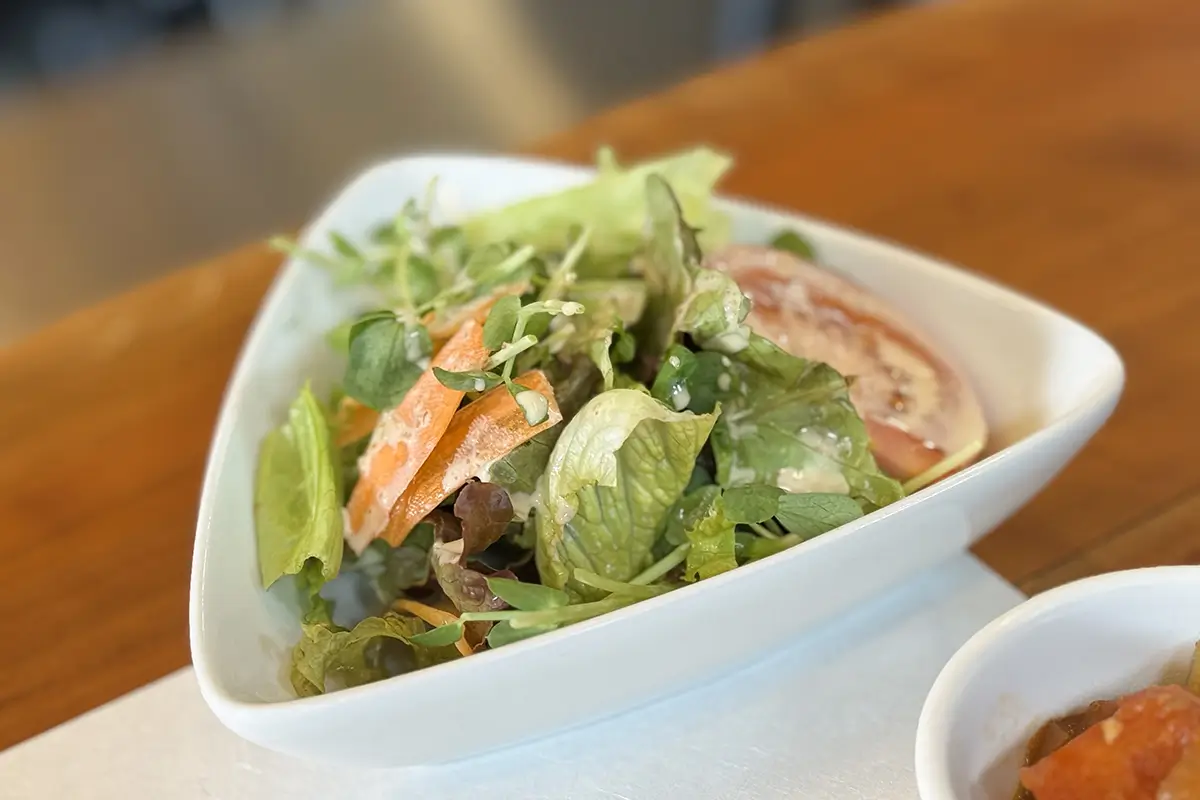 GYU-YA VILLA GYU-YAハンバーグ&氷見牛サーロインステーキコンボ サラダ