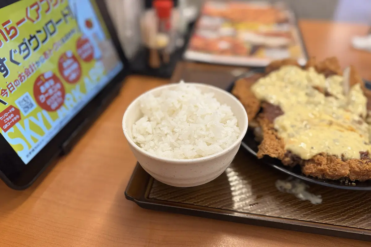 衝撃のチキンドデカツ定食(甘とろタルタル) 白飯(大盛り)