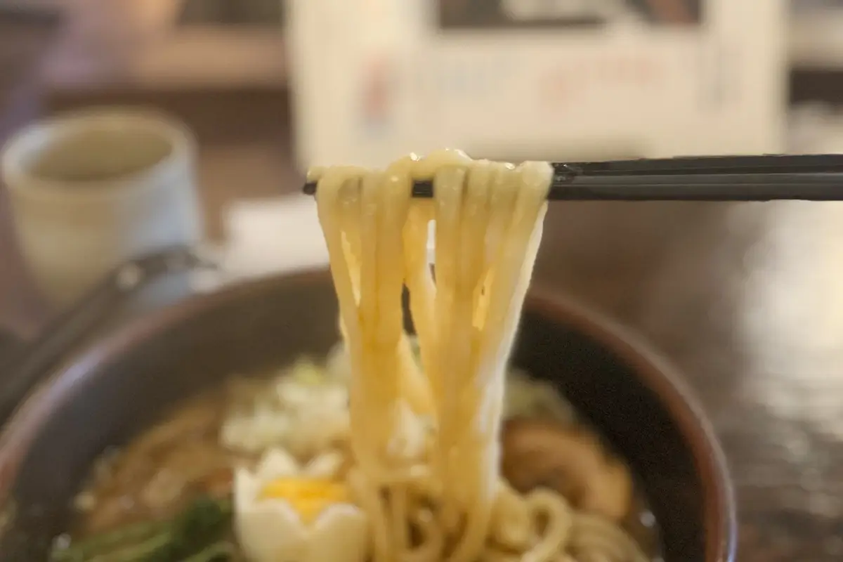 お食事処 庵 カレーうどん 麺